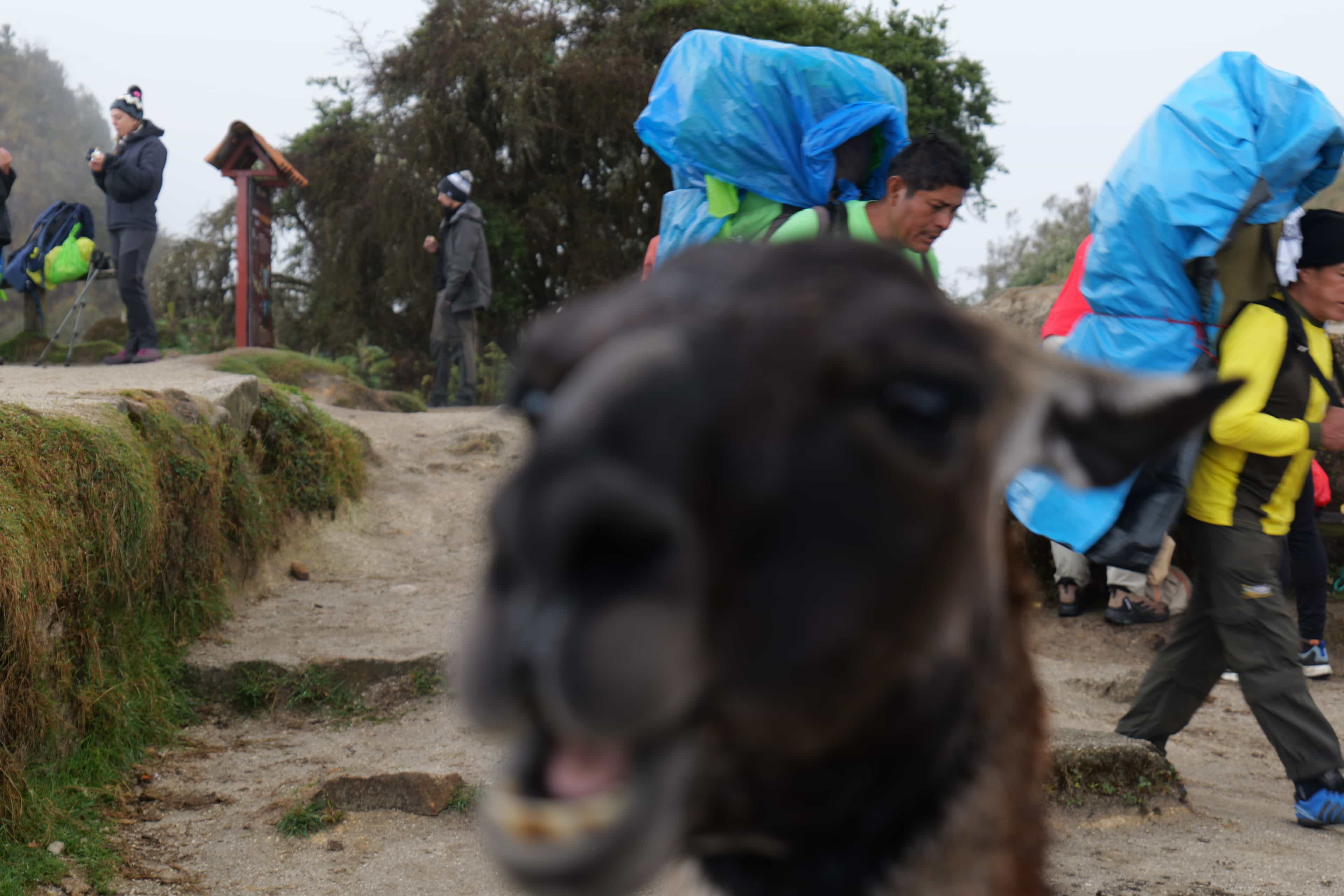 Photo 590 from Peru