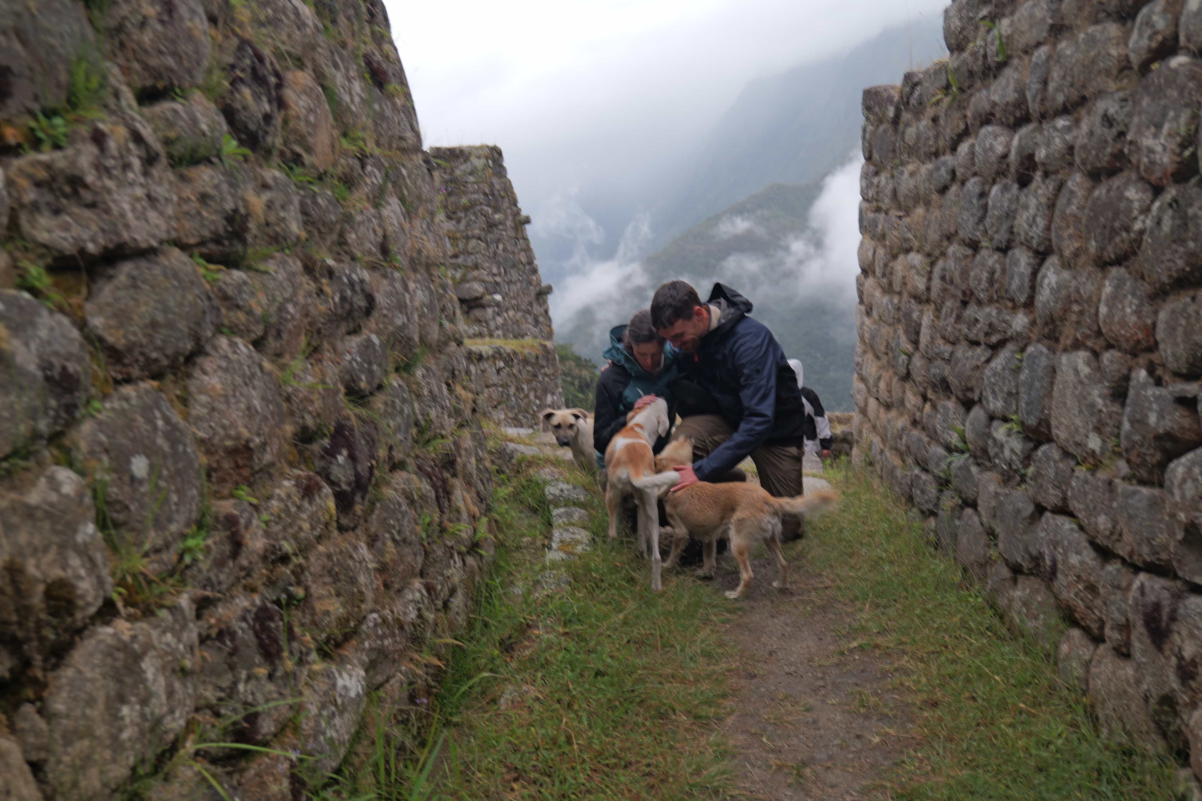 Photo 602 from Peru