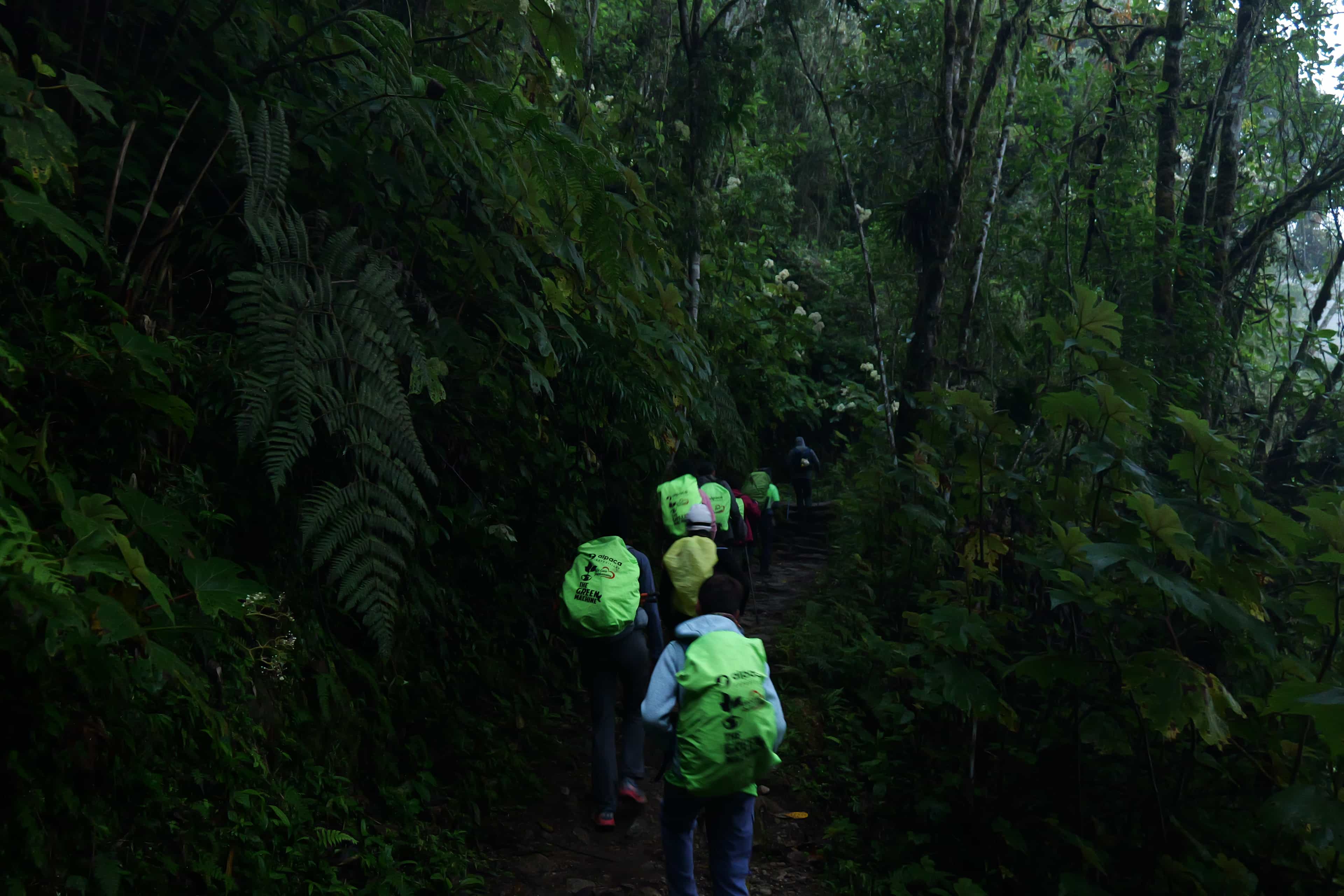 Photo 610 from Peru