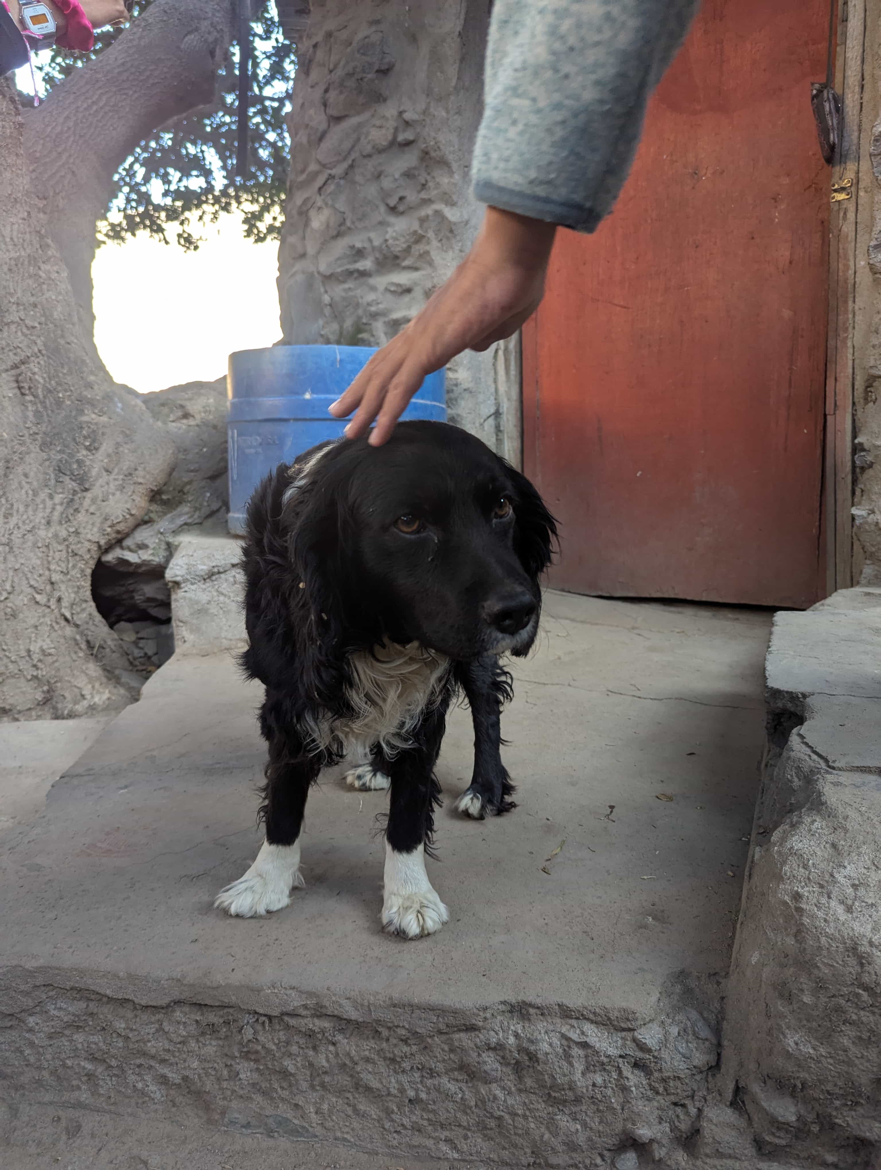 Photo 674 from Peru