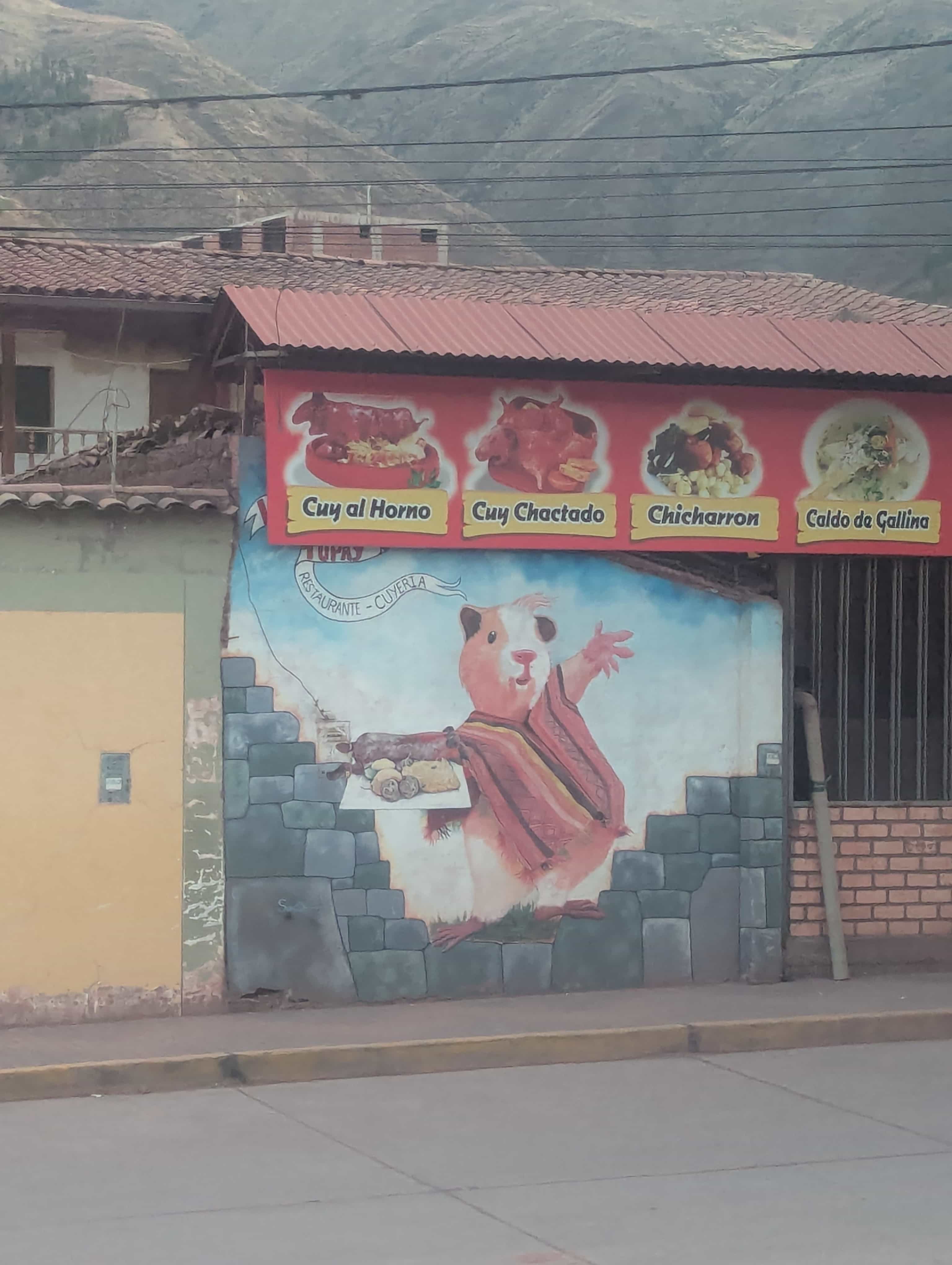 Photo 688 from Peru
