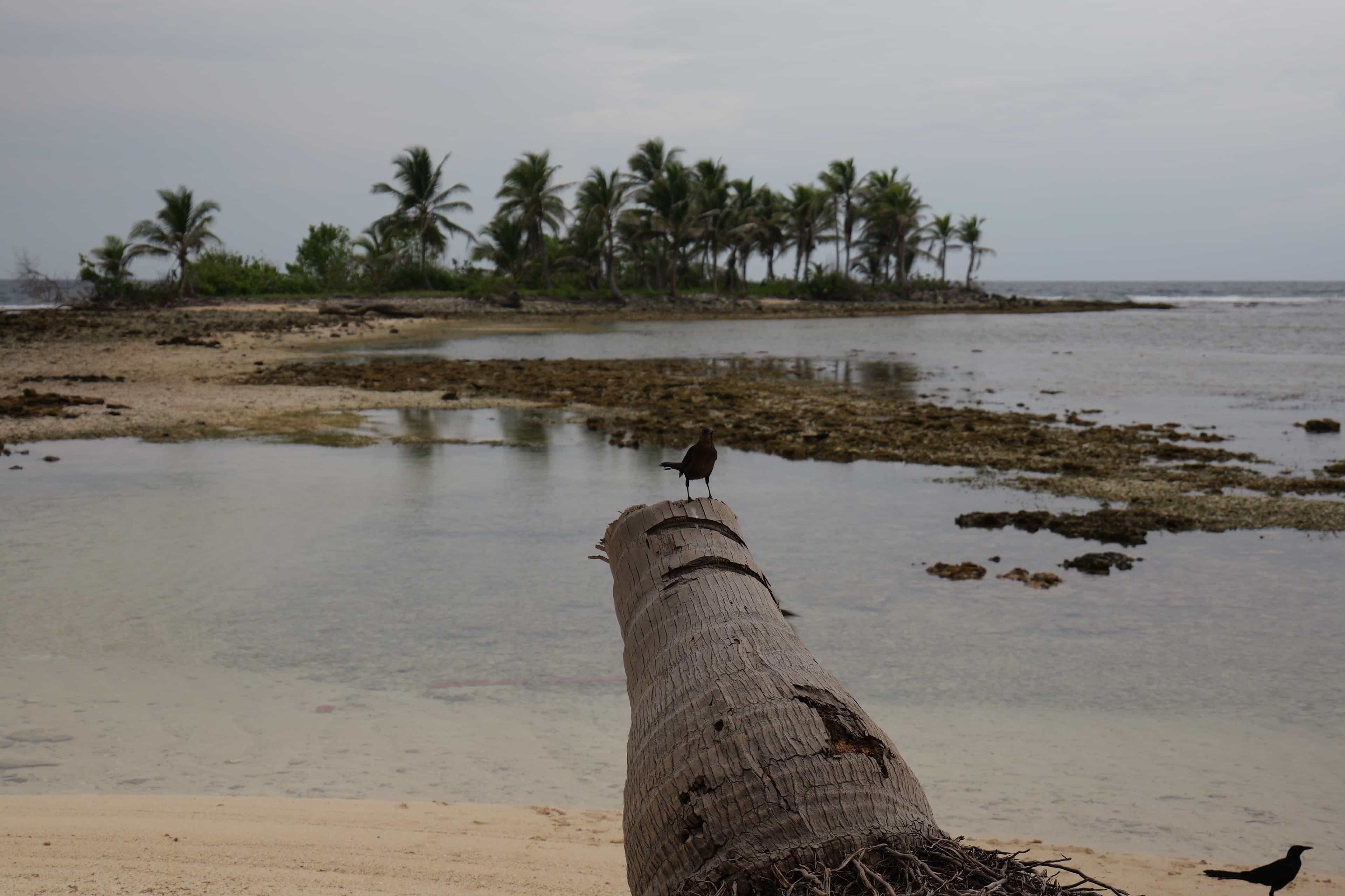 Photo 47 from San Blas Islands