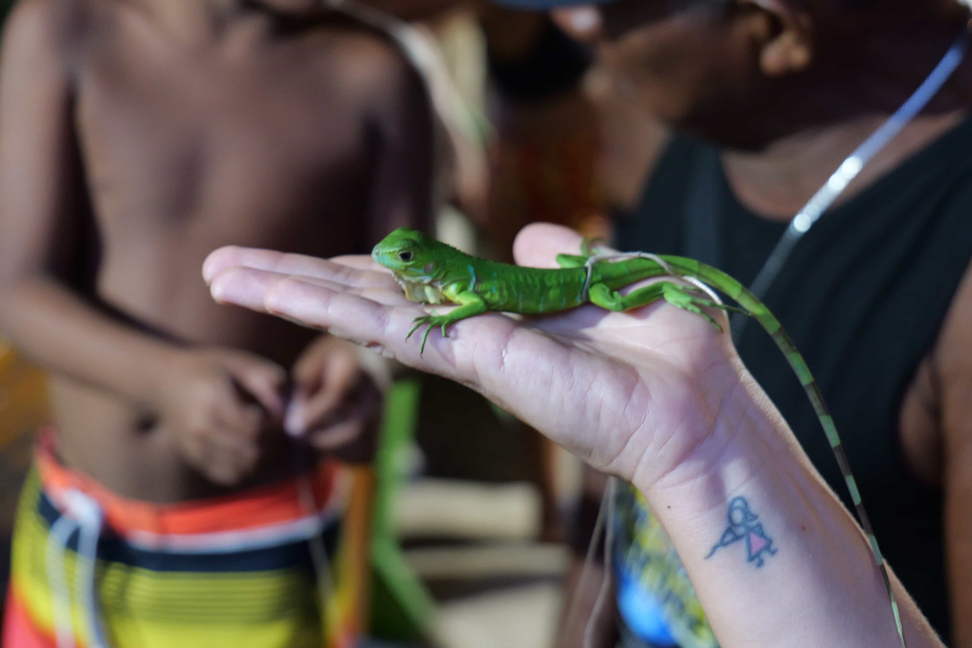 Photo 128 from San Blas Islands