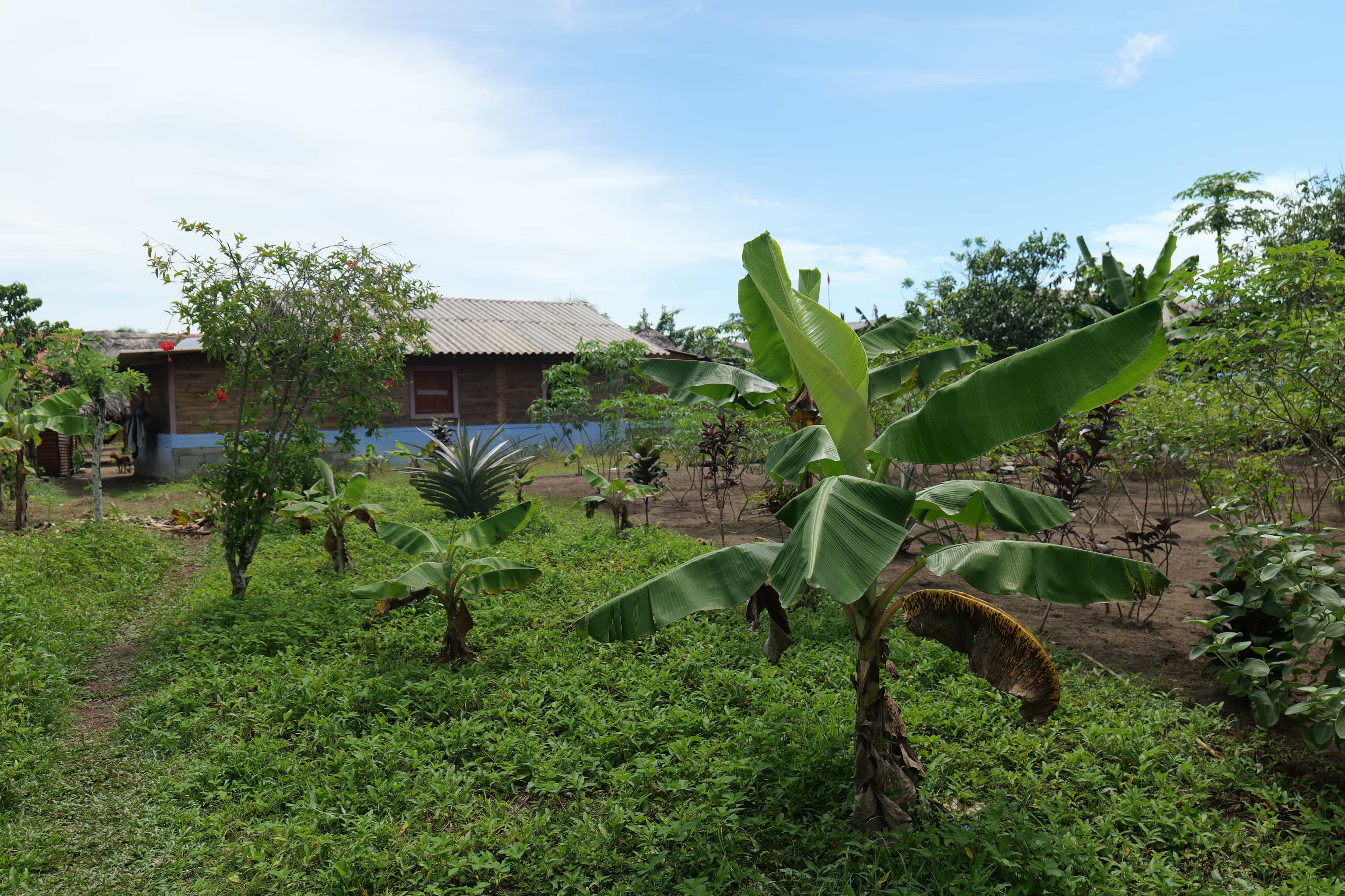 Photo 262 from San Blas Islands
