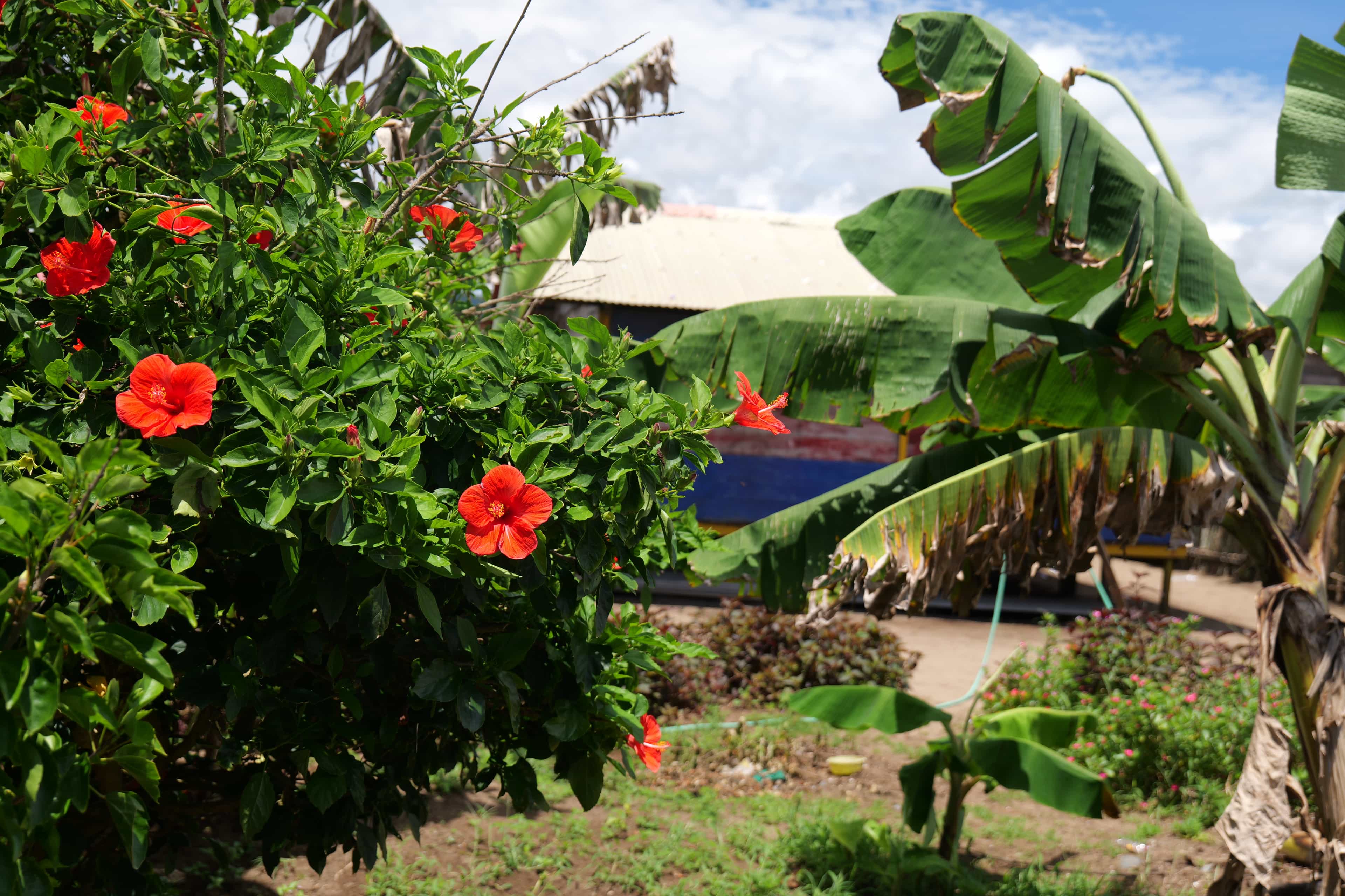 Photo 277 from San Blas Islands
